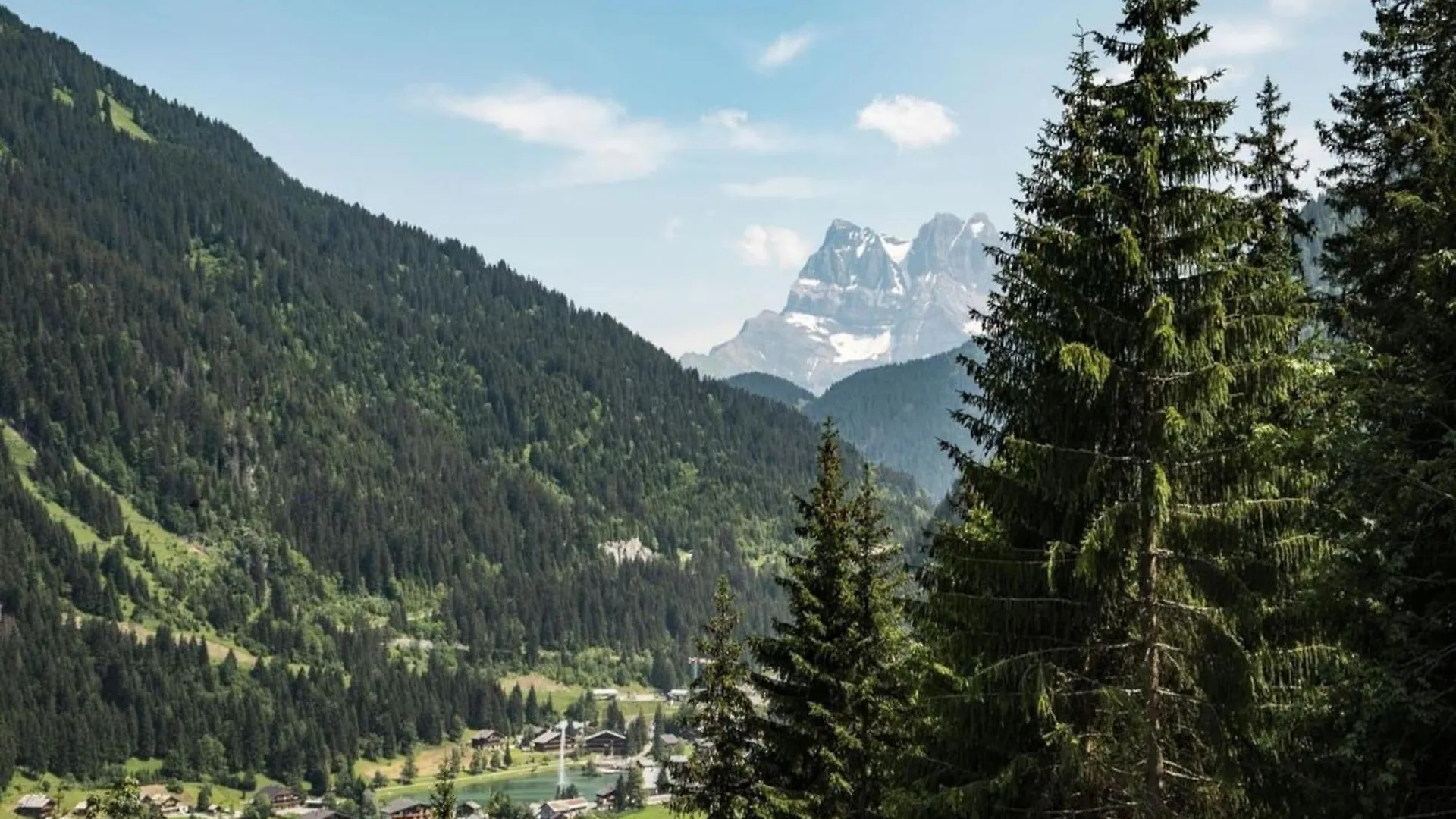 Apartment In Chatel With Balcony